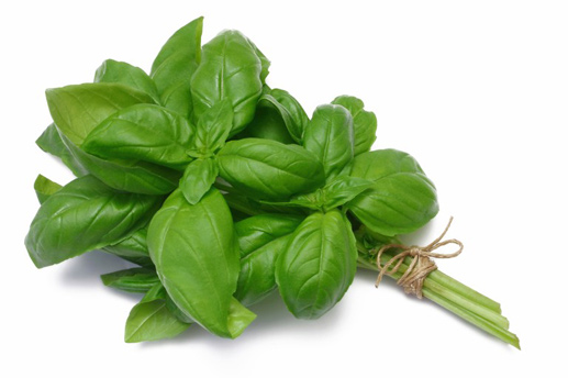 basil2
