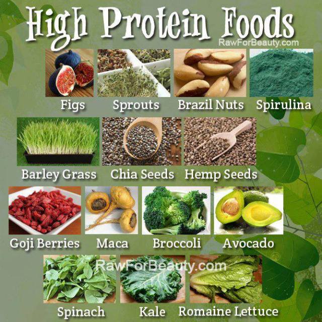 High Protein Foods