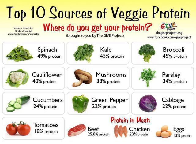 High Veg Protein Foods