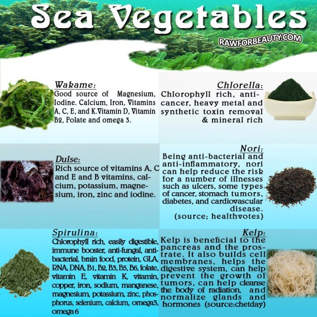 Sea Food